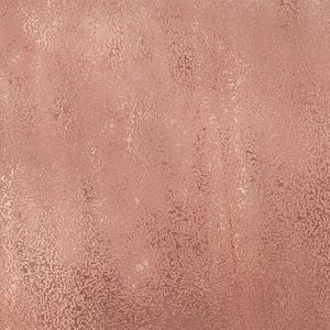 Meet your Posher, Kaya